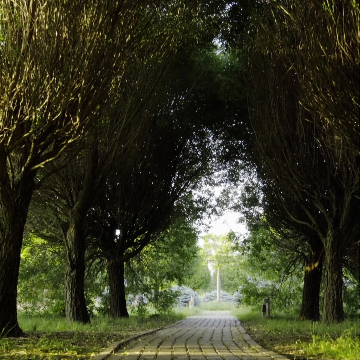 5 тематических парков – 1