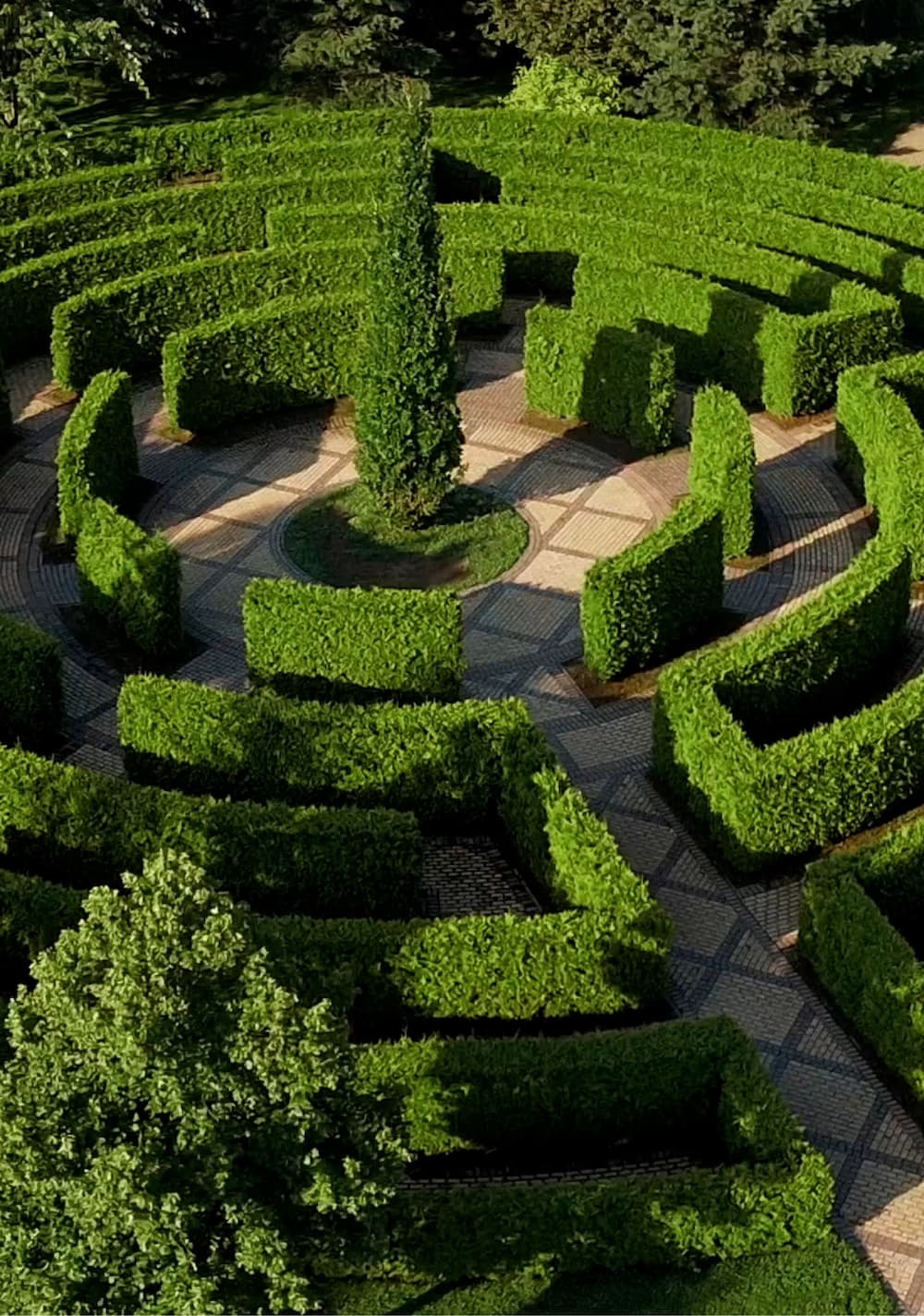 5 тематических парков – 3