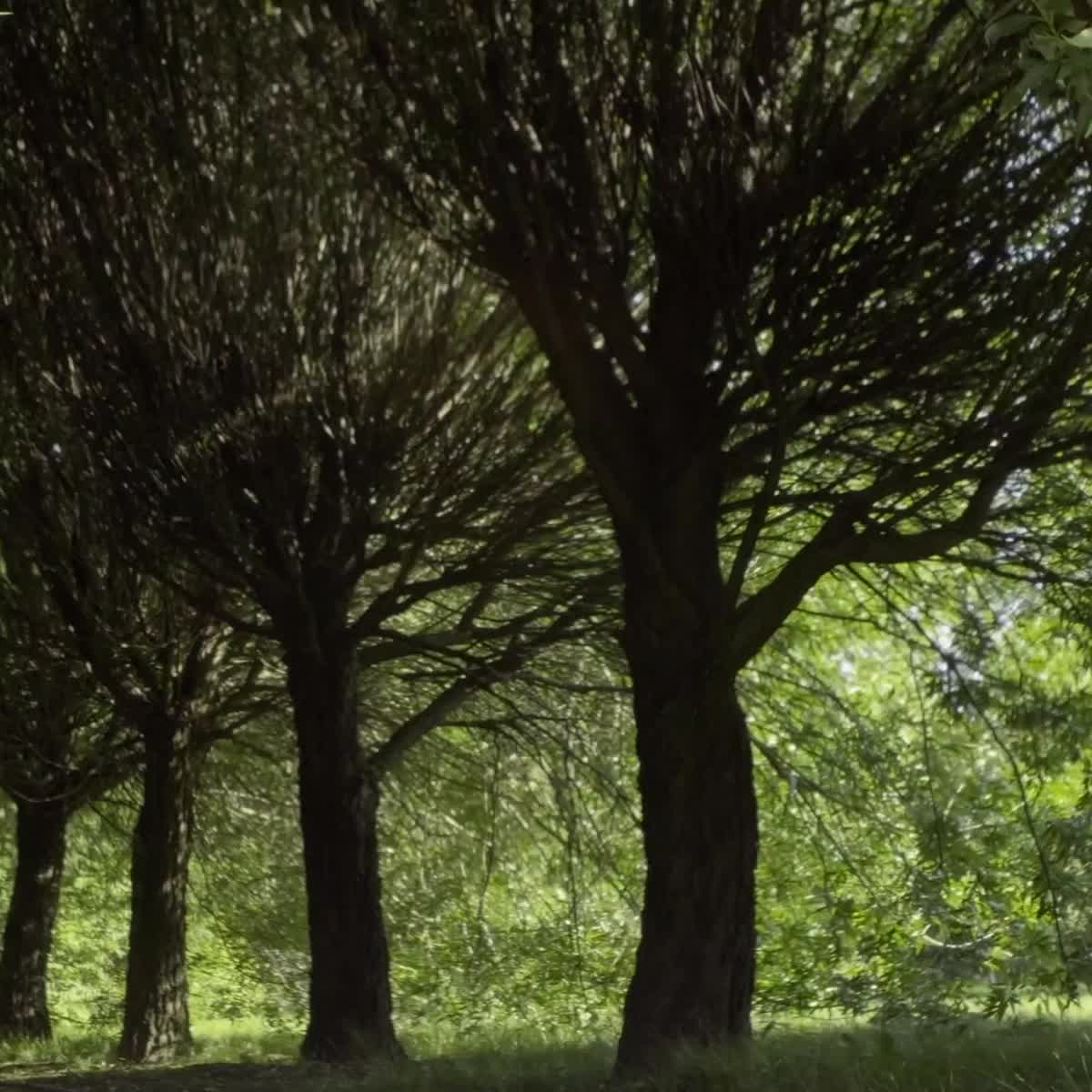 5 тематических парков – 2